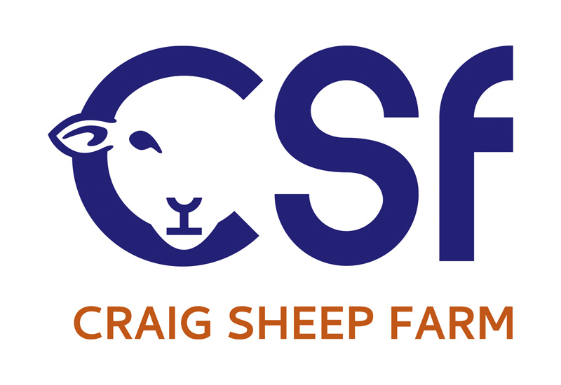 animal logo, identity, branding, sheep